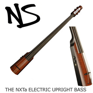NS DESIGN NXTa Bass 전자 콘트라 더블 베이스 일렉/전기